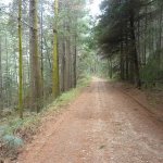 Railton - Sheffiled Railway Line