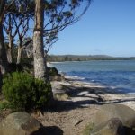 Tangara Trail