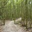 Tarkine Adventures