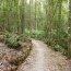 Tarkine Adventures