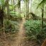 Tarkine Adventures