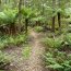 Tarkine Adventures