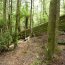Tarkine Adventures