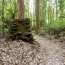 Tarkine Adventures