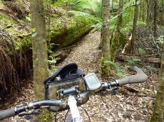 Tarkine Adventures