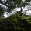 Tarkine Adventures