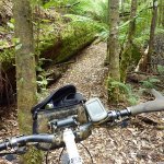 Tarkine Adventures