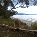 Coningham Reserve