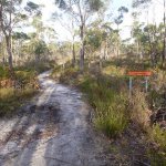 Peter Murrell Reserve