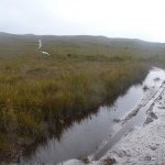 Zeehan and Mt Heemskirk Loop