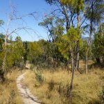 Clarence Mountain Bike Park