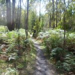 Kate Reed Reserve