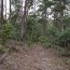 Maria Island