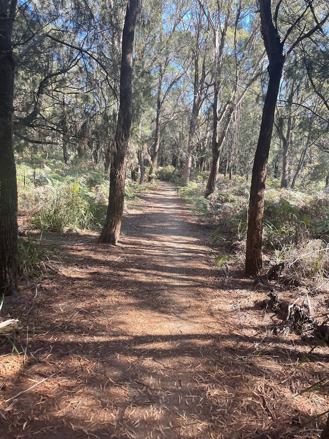 Bridport Track