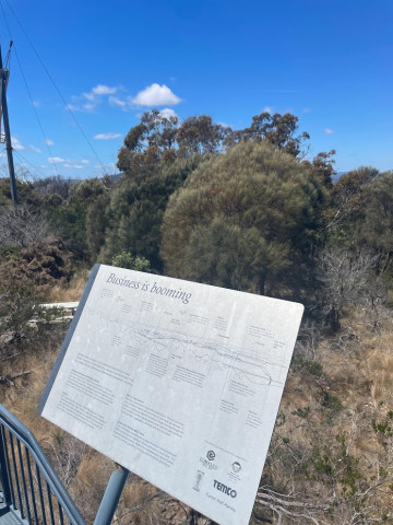 Business is Booming Signage - Mt George Lookout