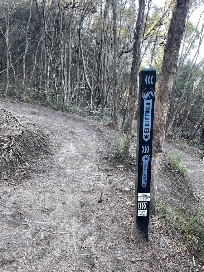 Funky Chicken Trailhead