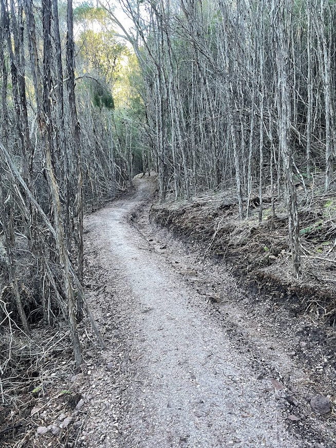 Harden Up MTB Trail