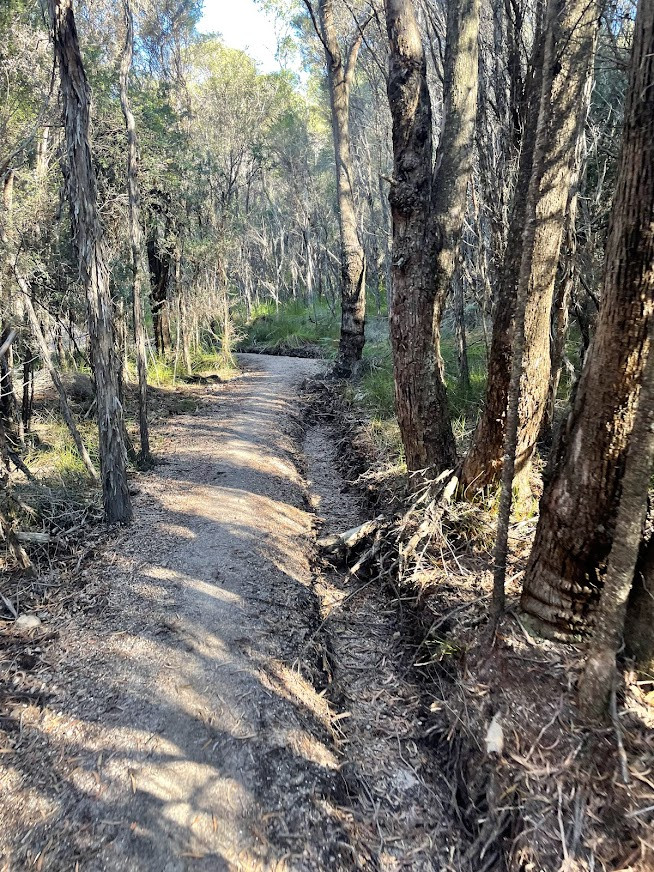 Sweet Caroline MTB Trail