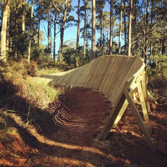 Hollybank Trails Official Opening Blog