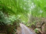 North East Rail Trail