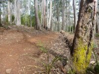 Stubbs Road (Turners Beach)