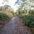 Peter Murrell Reserve