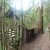 Hollybank Reserve (Juggernaut)