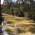 Pelverata Falls (Snug Tiers)