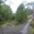 Trevallyn Nature Recreation Area