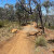 Mount George Trails