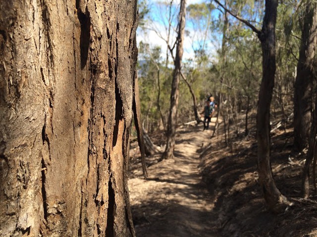 Risdon Vale Trails and Bike Park