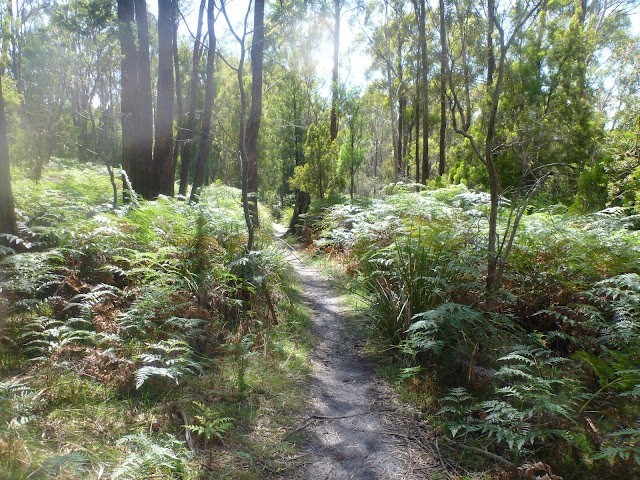 Kate Reed Reserve