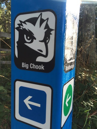 Big Chook (Blue Derby)